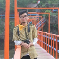 Ainun Najib