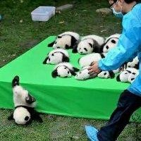 钟小科