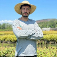 Vinicius Hiago da Cruz