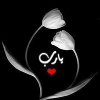 Doaa Abdelhamid