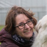 Renate Chiodi-Walraven