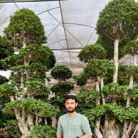 Jaydeep Pandya