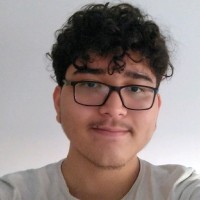 Vinícius Akio Gonzaga Susuqui