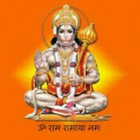 Vasuki Ml