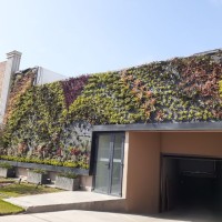 nardo loyaga sinuiri
