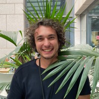 Joe Hermann