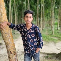 Freelancer Manik