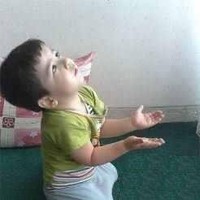 ahmed el sayed