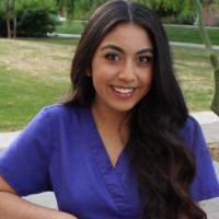 Desiree Hernandez