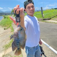 Kyle Tien