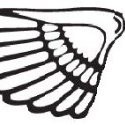 Arnage Services