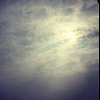 张贞杰