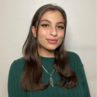 Nisreen Salem, Lmsw