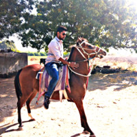 mori Vipul