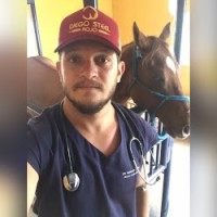 Renilson Vieira