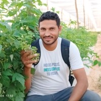 Ismail Ali