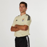 Pedro Fernandes