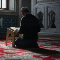 Mohammed Ibrahim M.