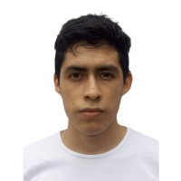 Boriss Arana Sandoval