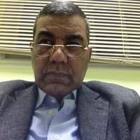hamamoushy hama