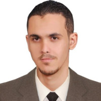 Mohamed Salah Ahmed Mahmoud