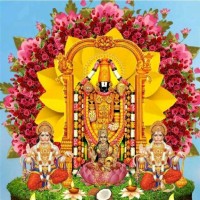 Mvvs Chowdary