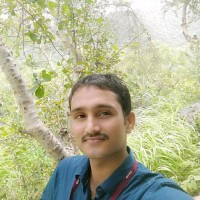 Ankit Singh