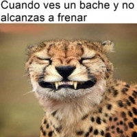 Carlos Sanchez