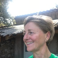 Jolanda Van Der Plas