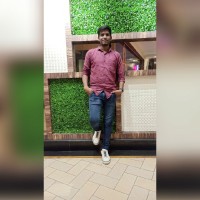 Shashank Palsamkar