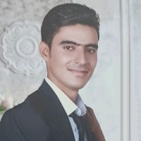 Alireza Asadniaei