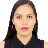 Rosmery Amez Obregon