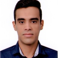 Mostafa Saleh