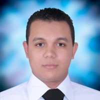 mostafa seoudi