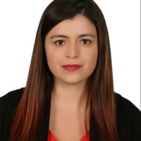 Gina Lizeth Diaz Gamez