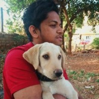 Athul Krishna C
