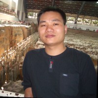 陈伟军