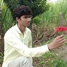 Yadav Dipak