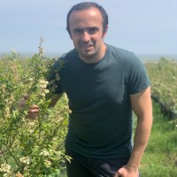 Ilyas Ahmadov