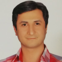 Mostafa Roshani