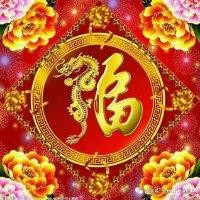 卜小龙