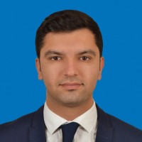 Erdem İyili