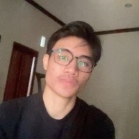 Dwi Prasetya Putra Made