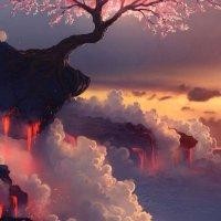 荆菲杨