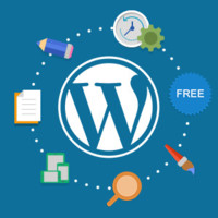 Wordpress Developer