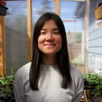 Lisa Nishimura