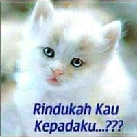 Iwan Wan