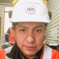 Diego Manuel Pacheco Molina