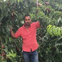 Ramanjit Gill