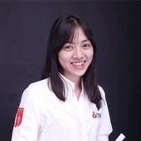 Hoang Lan Le
